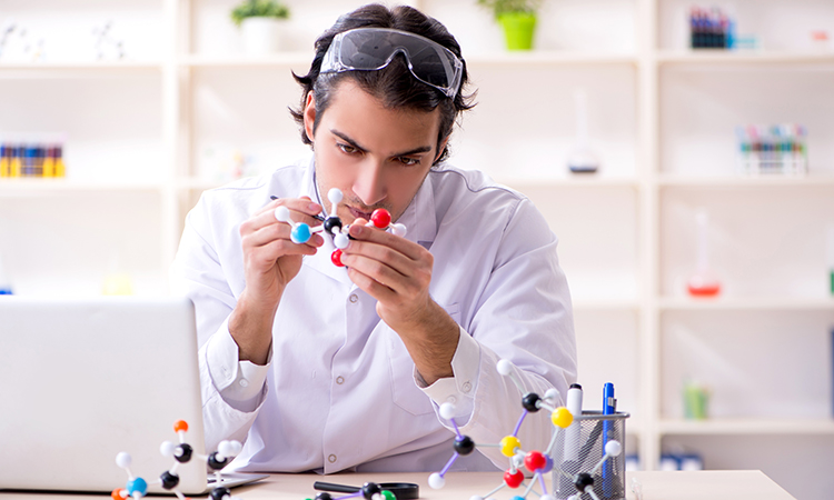Bio & Biomedical Engineering 