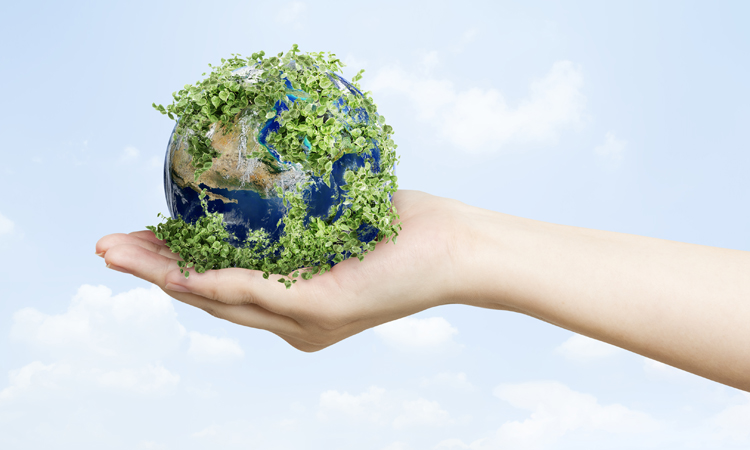 Environmental Engineering