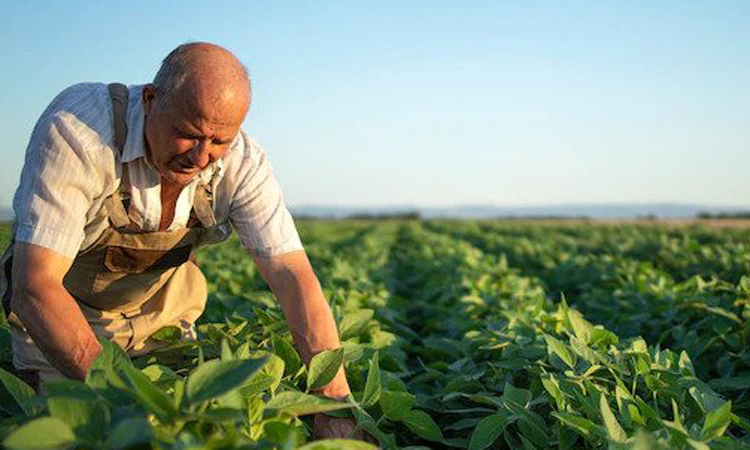 Agribusiness
