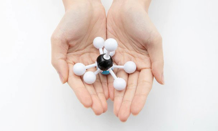 Molecular Sciences
