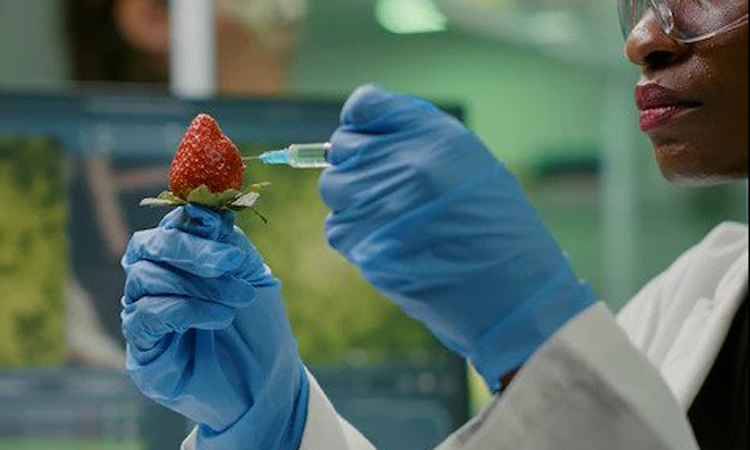 Natural Sciences