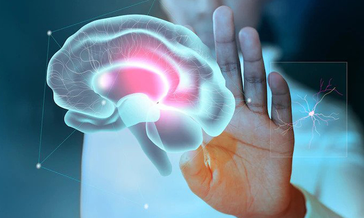 Neuroscience