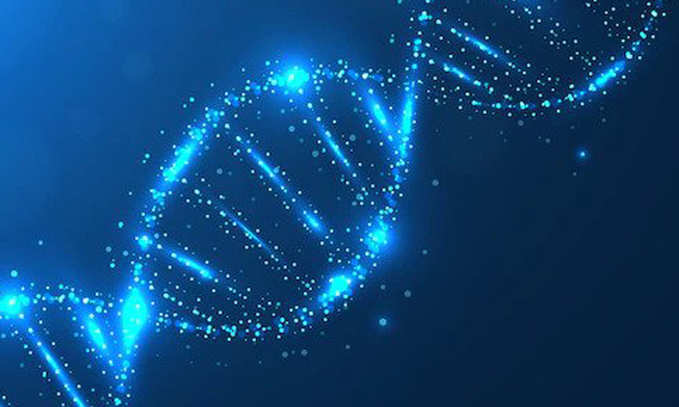 Bioinformatics