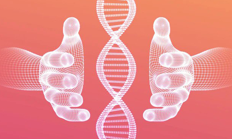 Genetics