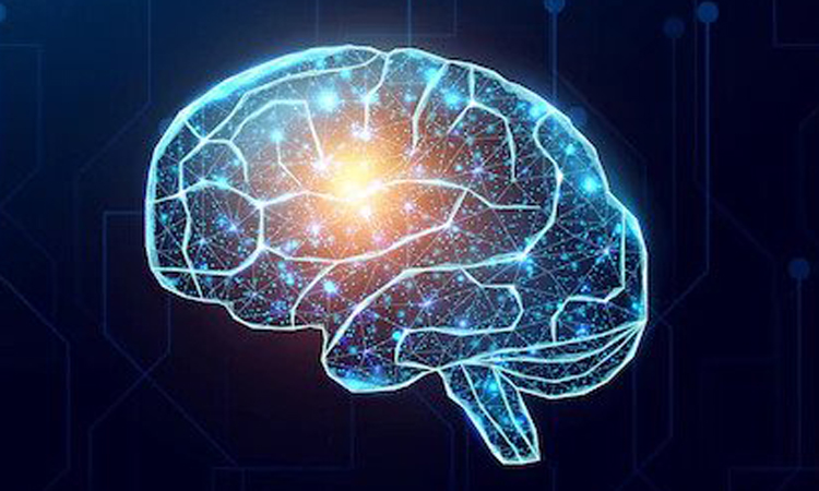 Cognitive Sciences