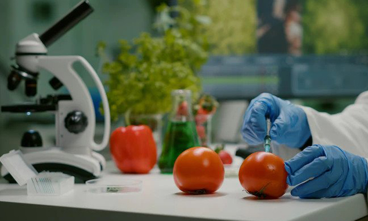 Food Sciences