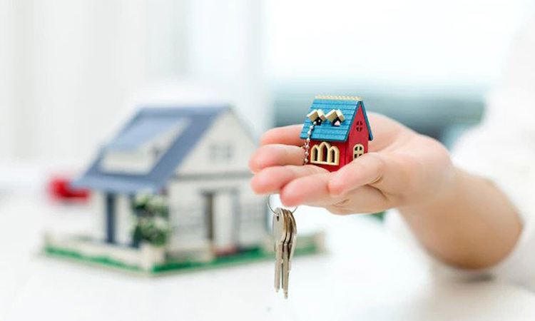 Real Estate & Property Management