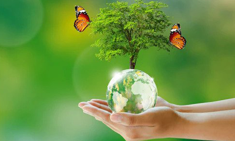 Ecology