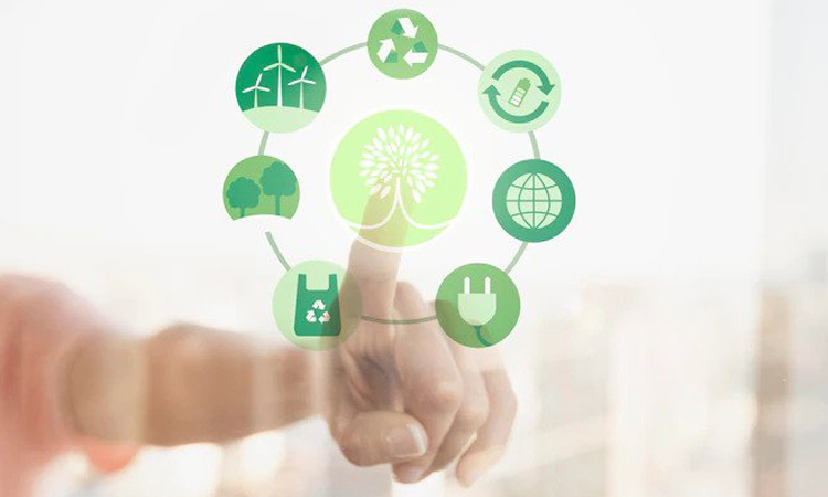 Environmental Management