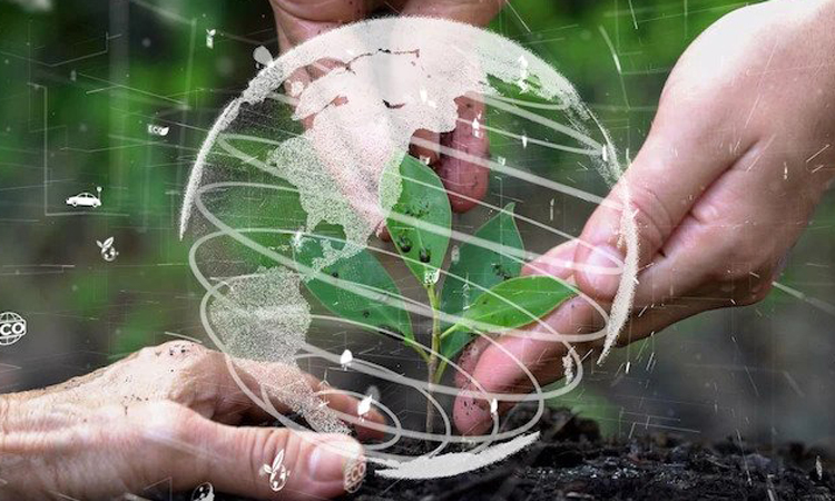 Natural Resource Management